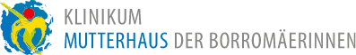 TYPO3 CMS logo
